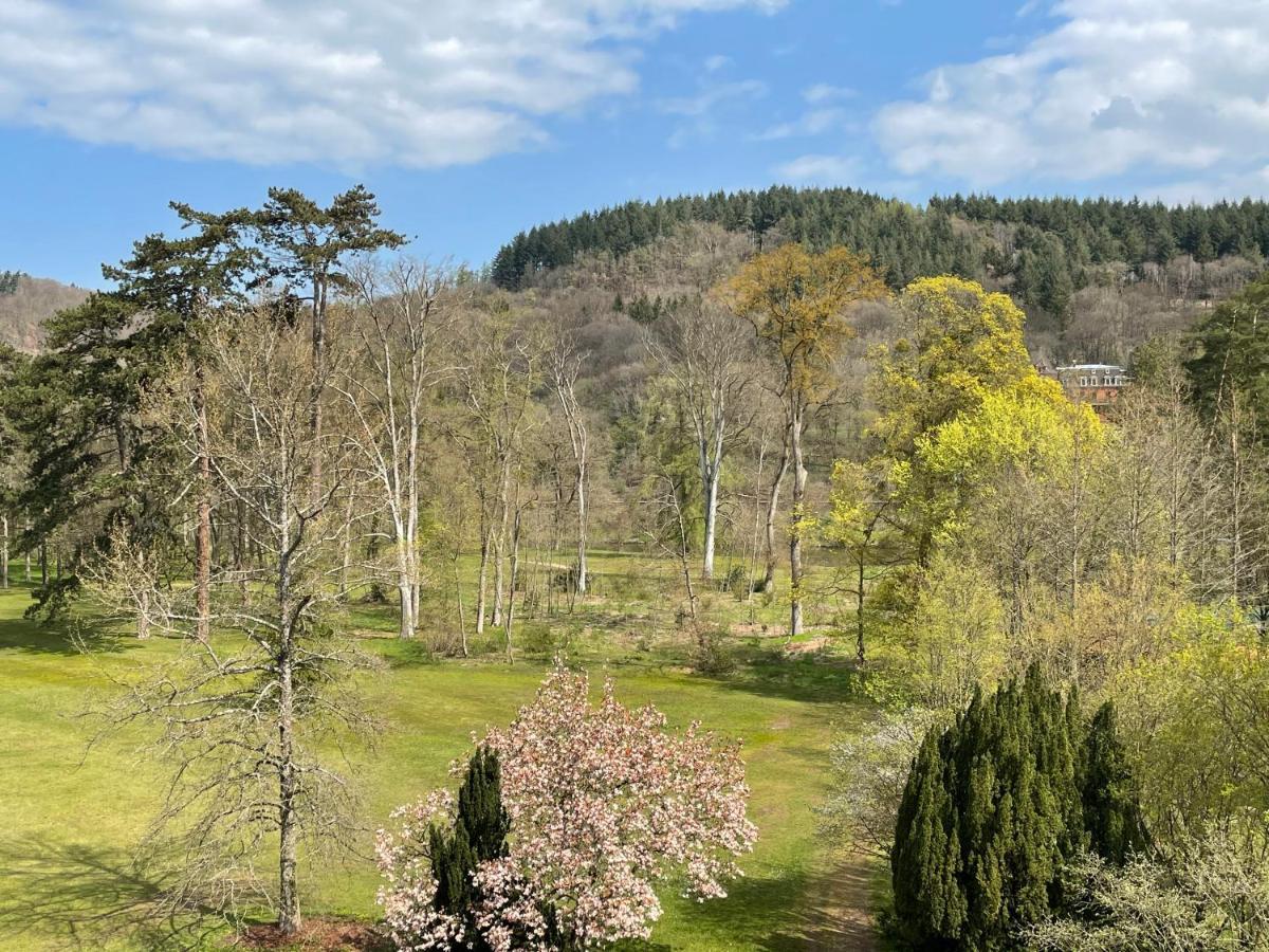 Gaestehaus Schloss Saareck Mettlach Zewnętrze zdjęcie